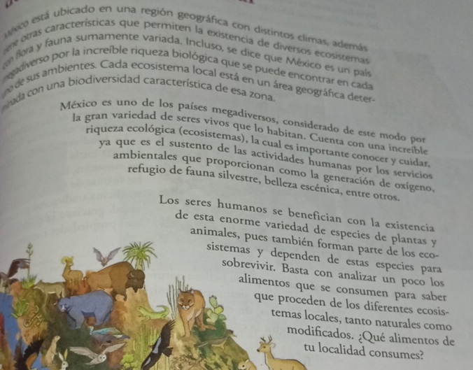 rto está ubicado en una región geográfica con distintos climas, además 
re otras características que permiten la existencia de diversos ecosisteras 
m flora y fauna sumamente variada. Incluso, se dice que México es un país 
gadiverso por la increíble riqueza biológica que se puede encontrar en cada 
e de sus ambientes. Cada ecosistema local está en un área geográfica deter- 
nada con una biodiversidad característica de esa zona. 
México es uno de los países megadiversos, considerado de este modo por 
la gran variedad de seres vivos que lo habitan. Cuenta con una increíble 
riqueza ecológica (ecosistemas), la cual es importante conocer y cuídar 
ya que es el sustento de las actividades humanas por los servicios 
ambientales que proporcionan como la generación de oxígeno, 
refugio de fauna silvestre, belleza escénica, entre otros. 
Los seres humanos se benefician con la existencia 
de esta enorme variedad de especies de plantas y 
animales, pues también forman parte de los eco- 
sistemas y dependen de estas especies para 
sobrevivir. Basta con analizar un poco los 
alimentos que se consumen para saber 
que proceden de los diferentes ecosis- 
temas locales, tanto naturales como 
modificados. ¿Qué alimentos de 
tu localidad consumes?