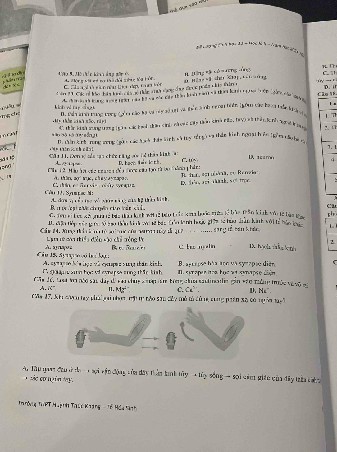 thể dựa vào mộ
Đề cương Sinh học I1 - Học kì II - Năm họt 2024 2
B. Th
Khẳng địn  Câu 9. Hệ thần kinh ống gặp ở:
phẩm tro
A. Động vật có cơ thể đổi xứng tỏa tròn. B. Động vật có xương sống.
dân tốc
C. Các ngành giun như Giun đẹp, Giun tròn. D. Động vật chân khớp, côn trùng. C. Th
D. T
Câu 10. Các tế bảo thần kinh của hệ thần kinh dạng ống được phân chia thành: túy → cí
C18.
A. thần kinh trung ương (gồm não bộ và các dây thần kinh não) và thần kính ngoại biên (gồm các hạch th
nhiều sá
o
kinh và tủy sống).
ứng cho
B. thần kinh trung ương (gồm não bộ và tủy sống) và thần kình ngoại biên (gồm các hạch thằn kinh và T1
dây thần kinh não, tủy)
C. thần kinh trung ương (gồm các hạch thần kinh và các đây thần kình não, tủy) và thần kinh ngoại biê (g Th
m của h
não bộ và túy sống).
D. thần kinh trung ương (gồm các hạch thần kinh và tủy sống) và thần kinh ngoại biên (gồm não bộ và
no
dây thần kinh não).
.  T
Câu 11. Đơn vị cấu tạo chức năng của hệ thần kinh là:
dân tộ D. neuron.
4.
rọng
A. synapse.
B. hạch thần kinh. C. tủy.
Câu 12. Hầu hết các neuron đều được cấu tạo từ ba thành phần:
êu tả
A. thân, sợi trục, chùy synapse, B. thân, sợi nhánh, eo Ranvier.
C. thân, eo Ranvier, chùy synapse. D. thân, sợi nhánh, sợi trục.
5
Câu 13. Synapse là:
A. đơn vị cấu tạo và chức năng của hệ thần kinh.
B. một loại chất chuyền giao thần kinh. Câu
C. đơn vị liên kết giữa tế bào thần kinh với tế bào thần kinh hoặc giữa tế bào thần kinh với tế bảo khác phả
D. diện tiếp xúc giữa tế bào thần kinh với tế bào thần kinh hoặc giữa tế bảo thần kinh với tể bảo khác. 1.
Câu 14. Xung thần kinh từ sợi trục của neuron này đi qua_ . sang tế bào khác.
Cụm từ còn thiếu điền vào chỗ trống là:
2.
A. synapse B. eo Ranvier C. bao myelin D. hạch thần kinh.
Câu 15. Synapse có hai loại:
A. synapse hóa học và synapse xung thần kinh.  B. synapse hóa học và synapse điện.
C
C. synapse sinh học và synapse xung thần kinh. D. synapse hóa học và synapse điện.
Câu 16. Loại ion nào sau đây đi vào chùy xináp làm bóng chứa axêtincôlin gắn vào màng trước và võỡ ra
A. K^+. B. Mg^2 C. Ca^(2+).
D. Na .
Câu 17. Khi chạm tay phải gai nhọn, trật tự nào sau đây mô tả đúng cung phản xạ co ngón tay?
A. Thụ quan đau ở da → sợi vận động của dây thần kinh tủy → tủy sống→ sợi cảm giác của dây thần kinh tự
→ các cơ ngón tay.
Trường THPT Huỳnh Thúc Kháng - Tổ Hóa Sinh