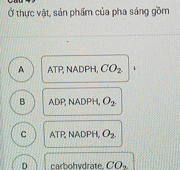 Ở thực vật, sản phẩm của pha sáng gồm
A ATP, NADPH, CO_2.
B ADP, NADPH, O_2.
C ATP, NADPH, O_2.
D carbohydrate, CO_2.