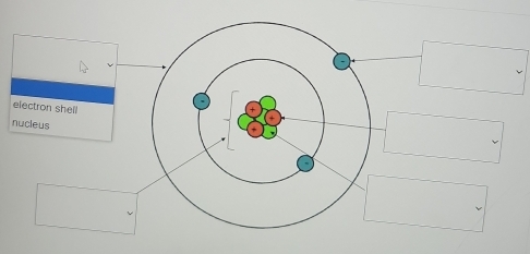 electron shell 
nucleus