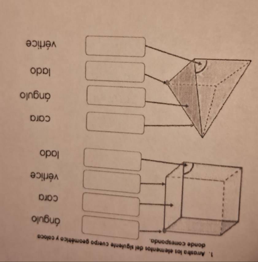 Arrastra los elementos del siguiente cuerpo geométrico y coloca
donde corresponda.
ángulo
cara
vértice
lado
cara
ángulo
lado
vértice