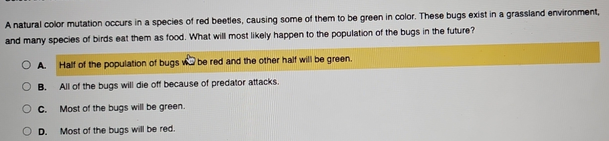 A natural color mutation occurs in a species of red beetles, causing some of them to be green in color. These bugs exist in a grassland environment,
and many species of birds eat them as food. What will most likely happen to the population of the bugs in the future?
A. Half of the population of bugs ww be red and the other half will be green.
B. All of the bugs will die off because of predator attacks.
C. Most of the bugs will be green.
D. Most of the bugs will be red.