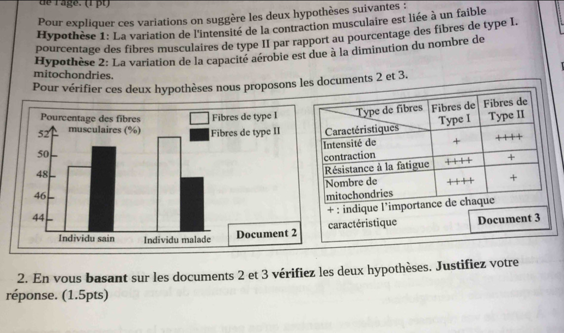 de râge. (1pt) 
Pour expliquer ces variations on suggère les deux hypothèses suivantes : 
Hypothèse 1: La variation de l'intensité de la contraction musculaire est liée à un faible 
pourcentage des fibres musculaires de type II par rapport au pourcentage des fibres de type I. 
Hypothèse 2: La variation de la capacité aérobie est due à la diminution du nombre de 
mitochondries. 
Pour vérifier ces deux hypothèses nous proposons les documents 2 et 3. 
Type de fibres Fibres de Fibres de 
Type II 
Type I 
Caractéristiques 
Intensité de 
+ 
ontraction + 
ésistance à la fatigue 
Nombre de 
+ 
mitochondries 
+ : indique l’importance de chaque 
Document 3 
caractéristique 
2. En vous basant sur les documents 2 et 3 vérifiez les deux hypothèses. Justifiez votre 
réponse. (1.5pts)