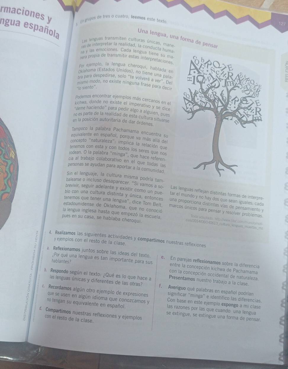 rmaciones y   En grupos de tres o cuatro, leemos este texto.
127
ngua española
Una lengua, una forma de pens
Las lenguas transmiten culturas únicas, mane
ras de interpretar la realidad, la conducta huma-
na y las emociones. Cada lengua tiene su ma
nera propia de transmitir estas interpretaciones
Por ejemplo, la lengua cheroqui, hablada en
Oklahoma (Estados Unidos), no tiene una pala-
bra para despedirse, solo “te volveré a ver”. Del
mismo modo, no existe ninguna frase para deci
'Io siento''.
Podemos encontrar ejemplos más cercanos en el
kichwa, donde no existe el imperativo y se dice
“deme haciendo” para pedir algo a alguien, pues
no es parte de la realidad de esta cultura situarse
en la posición autoritaria de dar órdenes.
Tampoco la palabra Pachamama encuentra su
equivalente en español, porque va más allá del
concepto “naturaleza”: implica la relación que
tenemos con esta y con todos los seres que nos
rodean. O la palabra “minga”, que hace referen
cia al trabajo colaborativo en el que todas las
personas se ayudan para aportar a la comunidad
Sin el lenguaje, la cultura misma podría tam-
balearse o incluso desaparecer. “Si vamos a so- Las lenguas reflejan distintas formas de interpre-
brevivir, seguir adelante y existir como un pue- tar el mundo y no hay dos que sean iguales; cada
blo con una cultura distinta y única, entonces una proporciona distintas vías de pensamiento y
tenemos que tener una lengua", dice Tom Belt, marcos únicos para pensar y resolver problemas.
estadounidense de Oklahoma, que no conoció Texto adaptado. http://www.bbc.convmundo/not-
pues en su casa, se hablaba cheroqui.
la lengua inglesa hasta que empezó la escuela, cias/2014/06/140613_cultura_lenguas_muertas_mz
4. Realizamos las siguientes actividades y compartimos nuestras reflexiones
y ejemplos con el resto de la clase.
< a. Reflexionamos juntos sobre las ideas del texto. e. En parejas reflexionamos sobre la diferencia
hablantes?
¿Por qué una lengua es tan importante para sus entre la concepción kichwa de Pachamama
con la concepción occidental de naturaleza.
b. Respondo según el texto: ¿Qué es lo que hace a Presentamos nuestro trabajo a la clase
las lenguas únicas y diferentes de las otras? f. Averiguo qué palabras en español podrían
à no tengan su equivalente en español.
c. Recordamos algún otro ejemplo de expresiones Con base en este ejemplo expongo a mi clase
significar “minga” e identifico las diferencias.
que se usen en algún idioma que conozcamos y las razones por las que cuando una lengua
d. Compartimos nuestras reflexiones y ejemplos
se extingue, se extingue una forma de pensar.
con el resto de la clase.