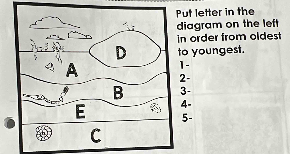 Put letter in the 
diagram on the left 
in order from oldest 
to youngest. 
1- 
2- 
3- 
4- 
5-