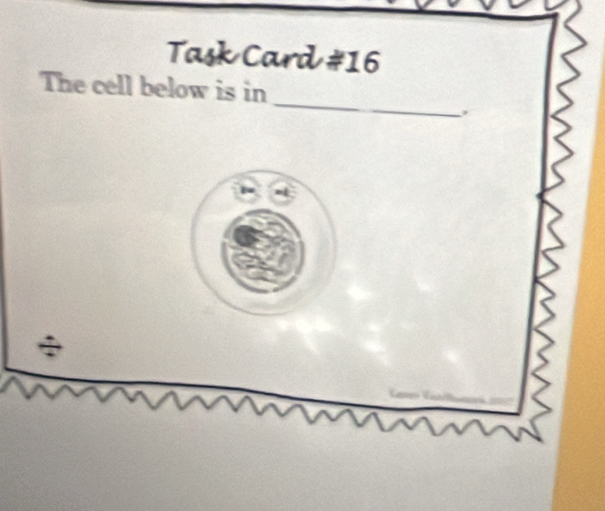 Task Card #16 
_ 
The cell below is in 
,