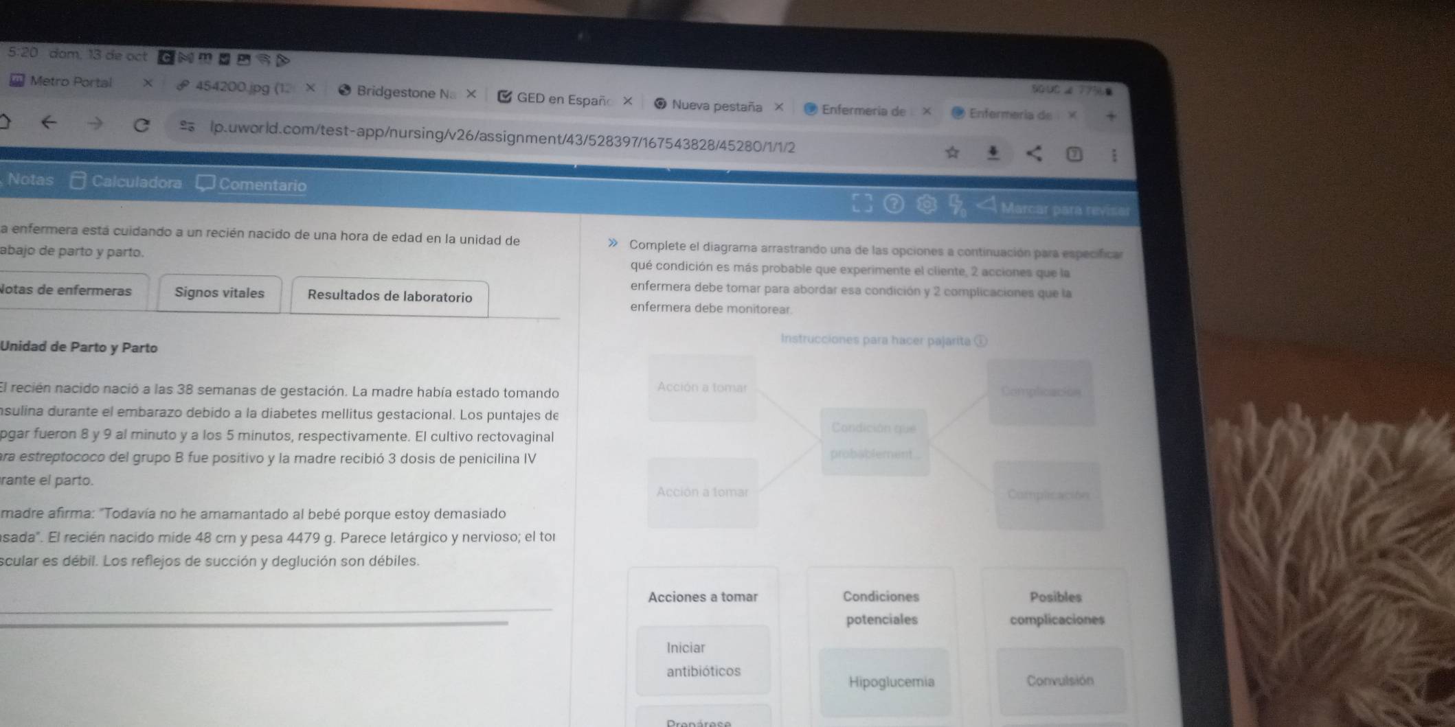 5:20 dom. 13 de oct  m s
SQ∪C ∠ 77%
Metro Portal 454200. Bridgestone Na GED en Españo Nueva pestaña x Enfermeria de  ×  Enfermería de  ×
lp.uworld.com/test-app/nursing/v26/assignment/43/528397/167543828/45280/1/1/2
☆
:
Notas ₹ Calculadora Comentario  Marcar para revisar
La enfermera está cuidando a un recién nacido de una hora de edad en la unidad de Complete el diagrama arrastrando una de las opciones a continuación para especifican
abajo de parto y parto. qué condición es más probable que experimente el cliente, 2 acciones que la
enfermera debe tomar para abordar esa condición y 2 complicaciones que la
Notas de enfermeras Signos vitales Resultados de laboratorio
enfermera debe monitorear.
Unidad de Parto y Parto
Instrucciones para hacer pajarita ①
El recién nacido nació a las 38 semanas de gestación. La madre había estado tomando Acción a tomar Complicación
nsulina durante el embarazo debido a la diabetes mellitus gestacional. Los puntajes de
pgar fueron 8 y 9 al minuto y a los 5 minutos, respectivamente. El cultivo rectovaginal
Condición que
ara estreptococo del grupo B fue positivo y la madre recibió 3 dosis de penicilina IV probablement .
rante el parto Complicación
Acción a fomar
madre afirma: "Todavía no he amamantado al bebé porque estoy demasiado
asada". El recién nacido mide 48 cm y pesa 4479 g. Parece letárgico y nervioso; el tor
scular es débil. Los reflejos de succión y deglución son débiles.
Acciones a tomar Condiciones Posibles
potenciales complicaciones
Iniciar
antibióticos
Hipoglucemia Convulsión