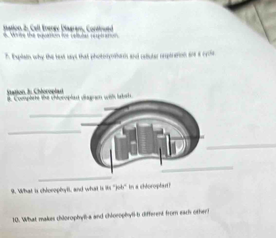 Station 2: Cell Energy Dlagram, Continued 
6 Write the equation for celtular resptration 
A Explain why the text says that photorynthass and celluiar respiration are a cycle 
Station &: Chloroplan 
t Complete the chloroplan diagram with labet 
_ 
9. What is chiorophyll, and what is 1 11fole's's' In a chioroplait? 
10. What makes chlorophyll-a and chlorophyll-b different from each other