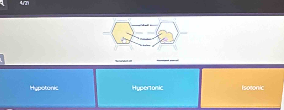 Hypotonic Hypertonic Isotonic