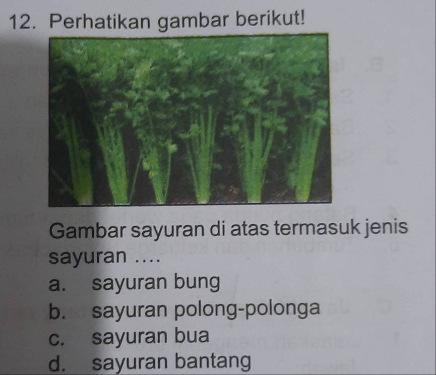 Perhatikan gambar berikut!
Gambar sayuran di atas termasuk jenis
sayuran ....
a. sayuran bung
b. sayuran polong-polonga
c. sayuran bua
d. sayuran bantang