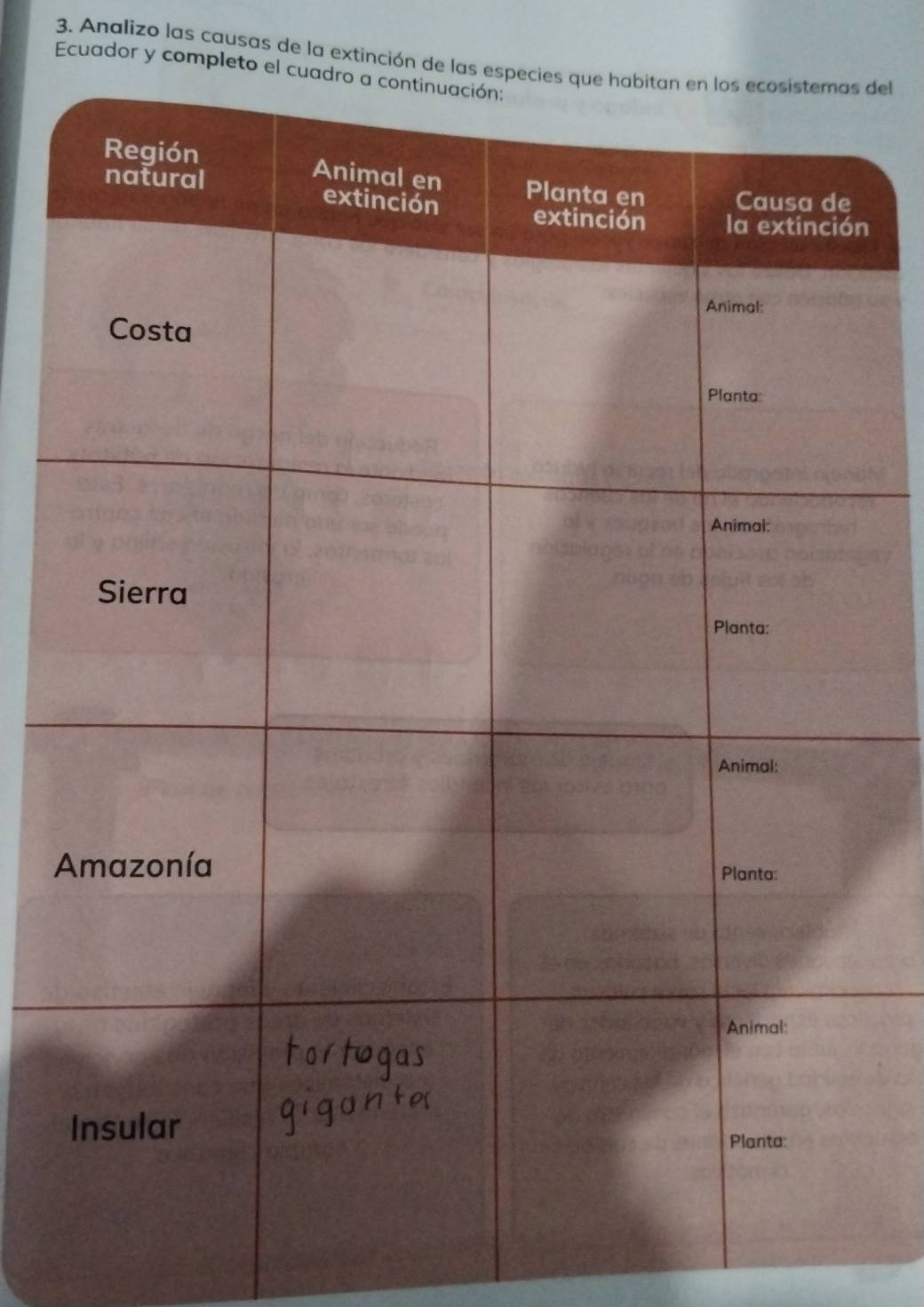 Analizo las causas de la extinción de del 
Ecuador y completo 
n