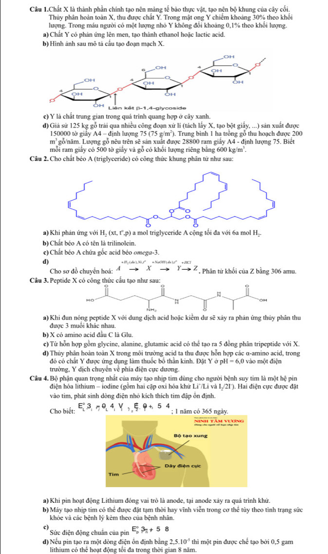 Câu 1.Chất X là thành phần chính tạo nên màng tế bảo thực vật, tạo nên bộ khung của cây cối.
Thủy phân hoàn toàn X, thu được chất Y. Trong mật ong Y chiếm khoảng 30% theo khối
lượng. Trong máu người có một lượng nhỏ Y không đổi khoảng 0,1% theo khổi lượng.
a) Chất Y có phản ứng lên men, tạo thành ethanol hoặc lactic acid.
b) Hình ảnh sau mô tả cầu tạo đoạn mạch X.
c) Y là chất trung gian trong quá trình quang hợp ở cây xanh.
d) Giả sử 125 kg gỗ trải qua nhiều công đoạn xử lí (tách lấy X, tạo bột giấy, ...) sản xuất được
150000 tờ giảy 44 định lượng 75(75g/m^2) ). Trung bình 1 ha trồng gỗ thu hoạch được 200
m^3 gỗ/năm. Lượng gỗ nêu trên sẽ sản xuất được 28800 ram giấy A4 - định lượng 75. Biết
mỗi ram giấy có 500 tờ giấy và gỗ có khổi lượng riêng bằng 600 kg/m³.
Câu 2. Cho chất béo A (triglyceride) có công thức khung phân tử như sau:
a) Khi phản ứng với H_2(xt,t^0,p) a mol triglyceride A cộng tối đa với 6a mol H_2.
b) Chất béo A có tên là trilinolein.
c) Chất béo A chứa gốc acid béo omega-3.
d)
Cho sơ đồ chuyển hoá: A + to 2 * . Phân tử khối của Z bằng 306 amu.
Câu 3. Pepti
a) Khi đun nóng peptide X với dung dịch acid hoặc kiểm dư sẽ xảy ra phản ứng thủy phân thu
được 3 muối khác nhau.
b) X có amino acid đầu C là Glu.
c) Từ hỗn hợp gồm glycine, alanine, glutamic acid có thể tạo ra 5 đồng phân tripeptide với X.
d) Thủy phân hoàn toàn X trong môi trường acid ta thu được hỗn hợp các α-amino acid, trong
đó có chất Y được ứng dụng làm thuốc bồ thần kinh. Đặt Y ở 1 pH=6,0 vào một điện
trường, Y dịch chuyển về phía điện cực dương.
Câu 4. Bộ phận quan trọng nhất của máy tạo nhịp tim dùng cho người bệnh suy tim là một hệ pin
điện hóa lithium - iodine (gồm hai cặp oxi hóa khử Li /Li và I_2/2I') ). Hai điện cực được đặt
vào tim, phát sinh dòng điện nhỏ kích thích tim đập ồn định.
Cho biết: E_L^((circ)3,=θ ,4,V,,xi ,9+,54
a) Khi pin hoạt động Lithium đóng vai trò là anode, tại anode xảy ra quá trình khử.
b) Máy tạo nhịp tim có thể được đặt tạm thời hay vĩnh viễn trong cơ thể tùy theo tình trạng sức
khỏe và các bệnh lý kèm theo của bệnh nhân.
c)
Sức điện động chuẩn của pin E_p°3_n)+58
d) Nếu pin tạo ra một dòng điện ổn định bằng 2,5.10^(-5) thì một pin được chế tạo bởi 0,5 gam
lithium có thể hoạt động tối đa trong thời gian 8 năm.