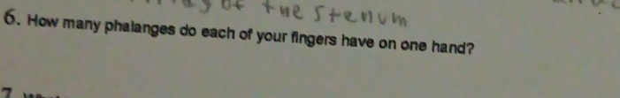 How many phalanges do each of your fingers have on one hand?