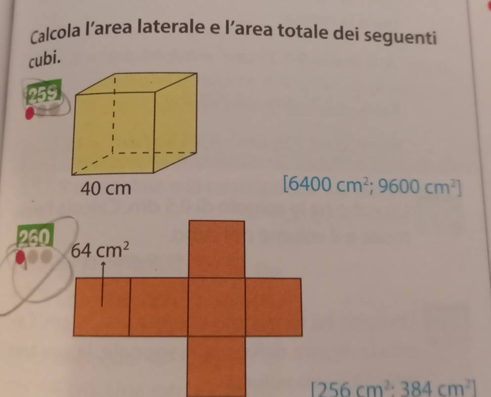 Calcola l’area laterale e l’area totale dei seguenti 
cubi.
259
[6400cm^2;9600cm^2]
260
64cm^2
[256cm^2:384cm^2]