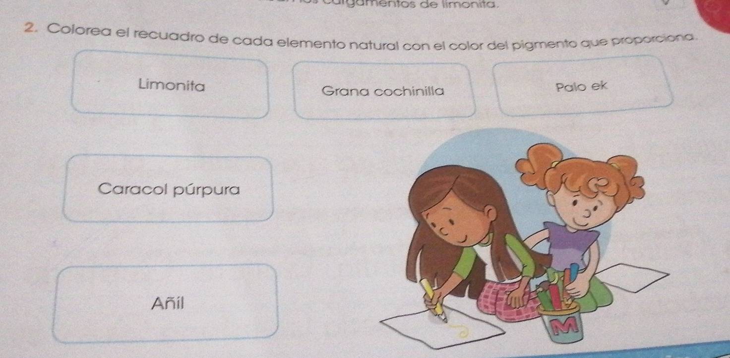 gamentos de limonita.
2. Colorea el recuadro de cada elemento natural con el color del pigmento que proporciona
Limonita Palo ek
Grana cochinilla
Caracol púrpura
Añil