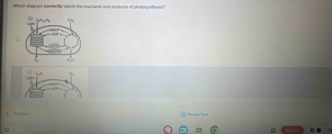 Which diagram correctly labels the reactants and products of photosynthesis?
Pause Test