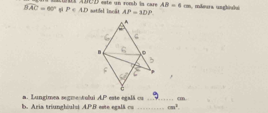 AB=6cm , măsura unghiului
widehat BAC=60° si P∈ AD astfel încât AP=3DP
a. Lungimea segmentului AP este egală cu ._ cm.
b. Aria triunghiului APB este egală cu _ cm^2.