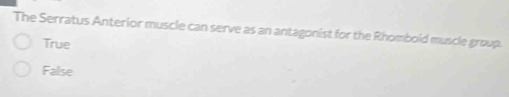 The Serratus Anterior muscle can serve as an antagonist for the Rhomboid muscle group.
True
False