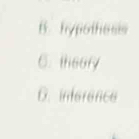 B. hypothesis
C. theory
D. inference