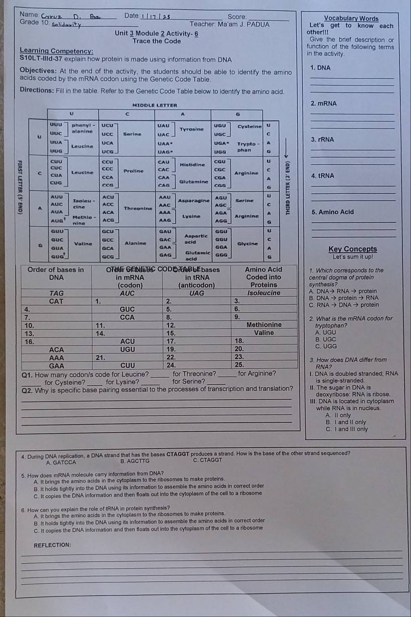 Name _Date_ Score:_ Vocabulary Words
Grade 10_ Let's get to know each
Teacher: Ma'am J. PADUA
Unit 3 Module 2 Activity- 6 other!!! Give the brief description or
Trace the Code function of the following terms 
Learning Competency: in the activity.
S10LT-IIId-37 explain how protein is made using information from DNA
_
Objectives: At the end of the activity, the students should be able to identify the amino 1. DNA
_
acids coded by the mRNA codon using the Genetic Code Table.
Directions: Fill in the table. Refer to the Genetic Code Table below to identify the amino acid_
2. mRNA
_
_
3. rRNA
_
_
4. tRNA
_
5. Amino Acid
Key Concepts
Let's sum it up!
Which corresponds to the
ntral dogma of protein
nthesis?
DNA→ RNA → protein
DNA → protein → RNA
RNA → DNA → protein
What is the mRNA codon for
A. UGU ryptophan?
B. UGC
C. UGG
How does DNA differ from
RNA?
Q1. How many codon/s code for LeDNA is doubled stranded; RNA
_for Cysteine?_ for Lysine? for Serine? _is single-stranded.
_
Q2. Why is specific base pairing essential to the processes of transcription and translation? II. The sugar in DNA is deoxvribose: RNA is ribose.
_
III. DNA is located in cytoplasm
_
while RNA is in nucleus.
A. Il only
_B. I and II only
_
C. I and IIl only
4. During DNA replication, a DNA strand that has the bases CTAGGT produces a strand. How is the base of the other strand sequenced?
A. GATCCA B. AGCTTG C. CTAGGT
5. How does mRNA molecule carry information from DNA?
A. It brings the amino acids in the cytoplasm to the ribosomes to make proteins.
B. It holds tightly into the DNA using its information to assemble the amino acids in correct order
C. It copies the DNA information and then floats out into the cytoplasm of the cell to a ribosome
6. How can you explain the role of tRNA in protein synthesis?
A. It brings the amino acids in the cytoplasm to the ribosomes to make proteins.
B. It holds tightly into the DNA using its information to assemble the amino acids in correct order
C. It copies the DNA information and then floats out into the cytoplasm of the cell to a ribosome
_
REFLECTION:
_
_
_
_
_