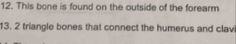This bone is found on the outside of the forearm 
13. 2 triangle bones that connect the humerus and clavi
