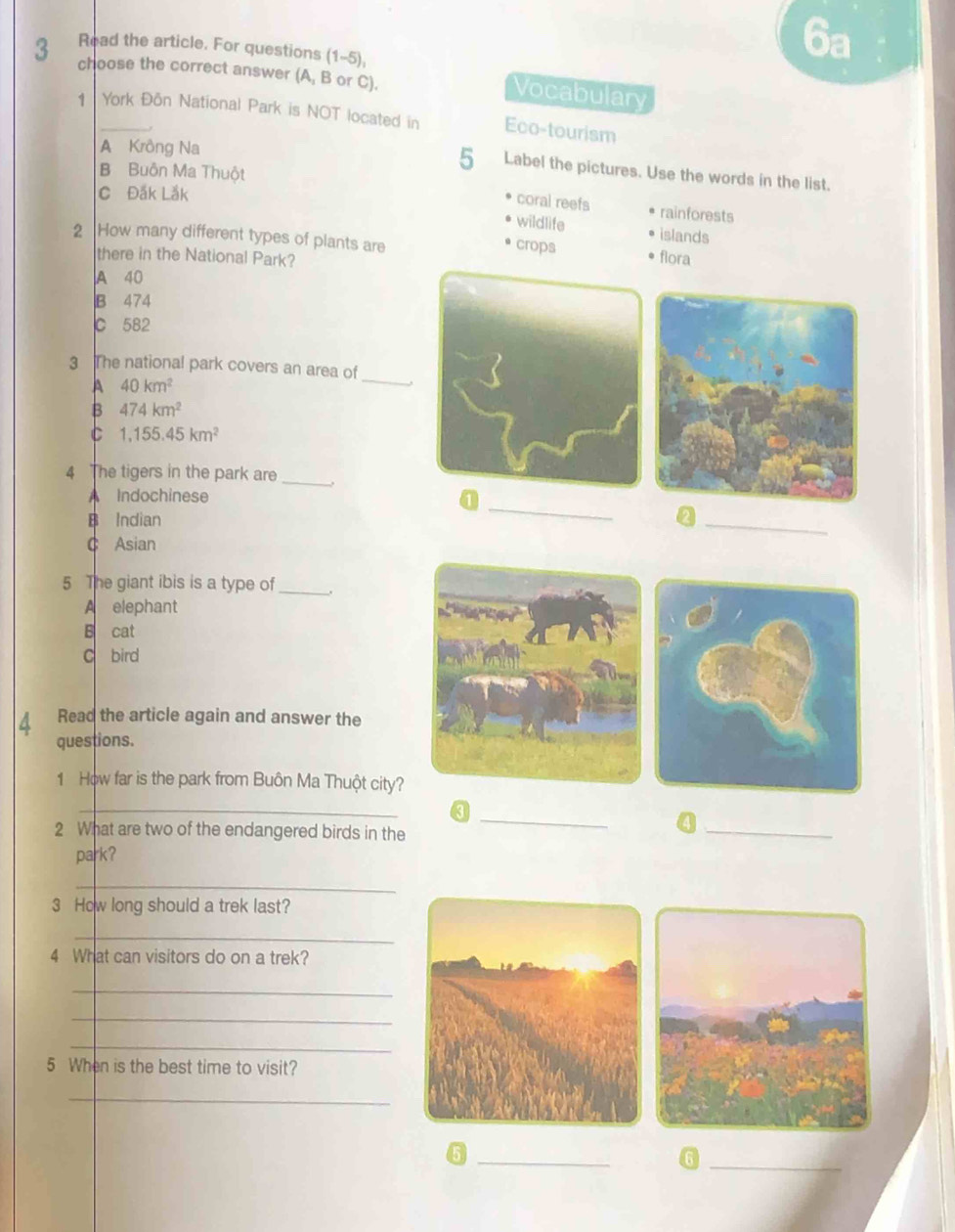 Read the article. For questions (1-5),
3 choose the correct answer (A, B or C).
Vocabulary
1 York Đôn National Park is NOT located in Eco-tourism
A Krông Na
B Buôn Ma Thuột
5 Label the pictures. Use the words in the list.
C Đắk Lắk
coral reefs rainforests
wildlife islands
2 How many different types of plants are
crops
there in the National Park? flora
A 40
B 474
C 582
3 The national park covers an area of
A 40km^2
_
B 474km^2
C 1,155.45km^2
4 The tigers in the park are_
_
Indochinese
B Indian a_
C Asian
5 The giant ibis is a type of _.
A elephant
B cat
C bird
 Read the article again and answer the
questions.
1 How far is the park from Buôn Ma Thuột city?
_
2 What are two of the endangered birds in the
_
_4
park?
_
3 How long should a trek last?
_
4 What can visitors do on a trek?
_
_
_
5 When is the best time to visit?
_
_6
_⑥