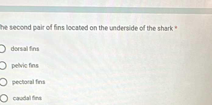 he second pair of fins located on the underside of the shark *
dorsal fins
pelvic fins
pectoral fins
caudal fins