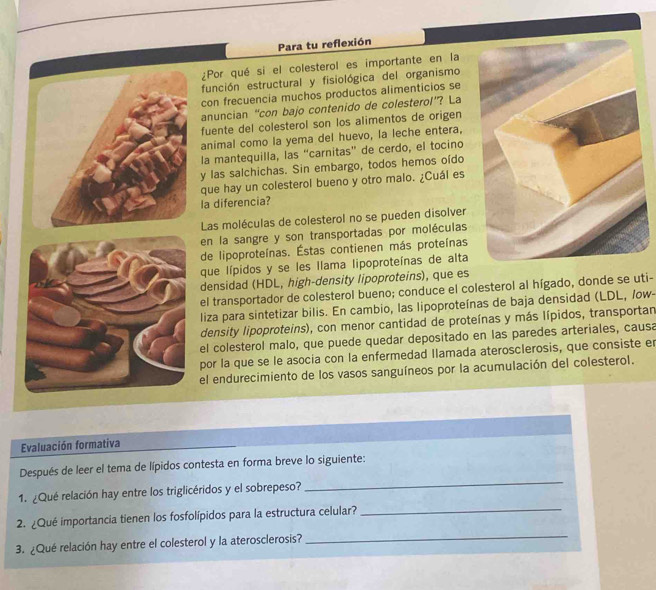 Para tu reflexión
¿Por qué si el colesterol es importante en la
función estructural y fisiológica del organismo
con frecuencia muchos productos alimenticios se
anuncian “con bajo contenido de colesterol”? La
fuente del colesterol son los alimentos de origen
animal como la yema del huevo, la leche entera,
la mantequilla, las “carnitas” de cerdo, el tocino
y las salchichas. Sin embargo, todos hemos oído
que hay un colesterol bueno y otro malo. ¿Cuál es
la diferencia?
Las moléculas de colesterol no se pueden disolver
en la sangre y son transportadas por moléculas
de lipoproteínas. Éstas contienen más proteínas
que lípidos y se les llama lipoproteínas de alta
densidad (HDL, high-density lipoproteins), que es
el transportador de colesterol bueno; conduce el colesterol al hígado, donde se uti-
liza para sintetizar bilis. En cambio, las lipoproteínas de baja densidad (LDL, /ow-
density lipoproteins), con menor cantidad de proteínas y más lípidos, transportan
el colesterol malo, que puede quedar depositado en las paredes arteriales, causa
por la que se le asocia con la enfermedad Ilamada aterosclerosis, que consiste er
el endurecimiento de los vasos sanguíneos por la acumulación del colesterol.
Evaluación formativa
_
Después de leer el tema de lípidos contesta en forma breve lo siguiente:
1. ¿Qué relación hay entre los triglicéridos y el sobrepeso?
2. ¿Qué importancia tienen los fosfolípidos para la estructura celular?_
3. ¿Qué relación hay entre el colesterol y la aterosclerosis?
_