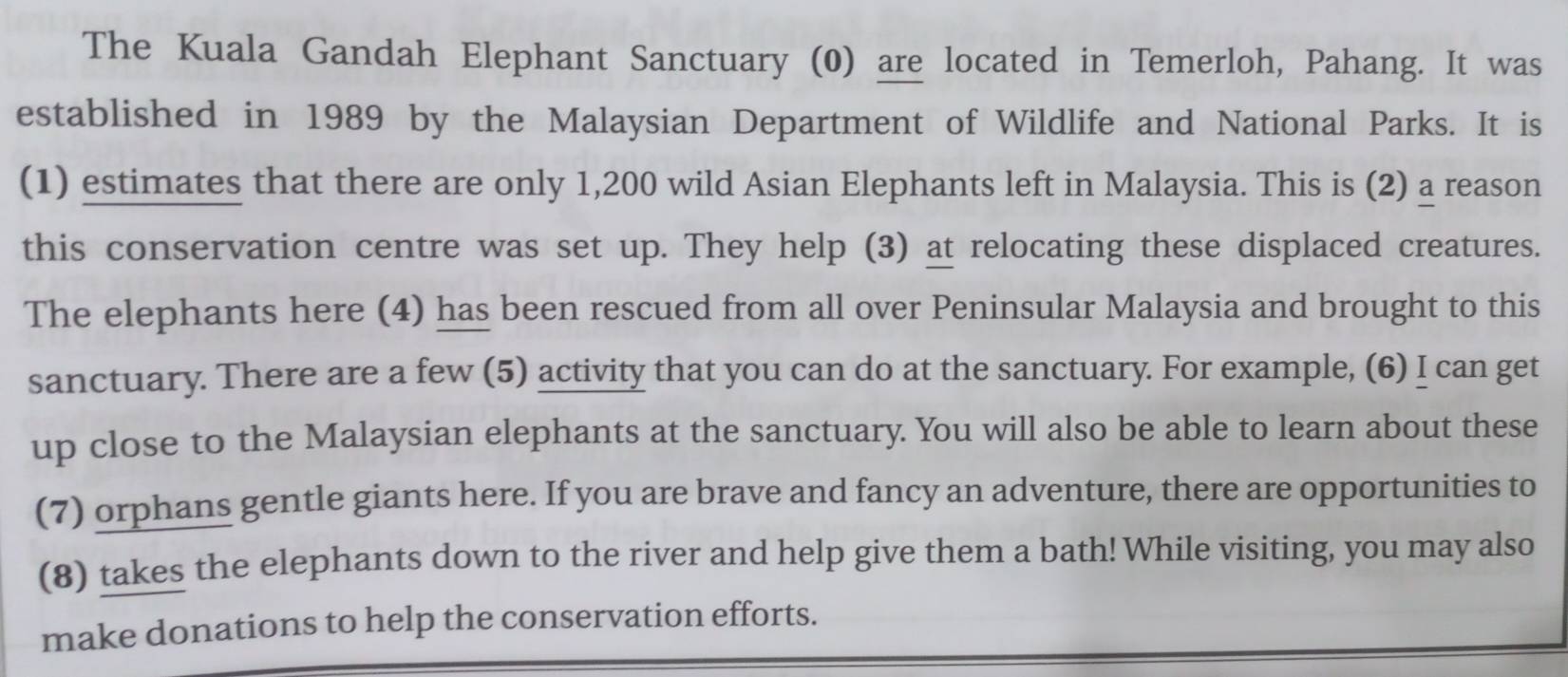 The Kuala Gandah Elephant Sanctuary (0) are located in Temerloh, Pahang. It was 
established in 1989 by the Malaysian Department of Wildlife and National Parks. It is 
(1) estimates that there are only 1,200 wild Asian Elephants left in Malaysia. This is (2) a reason 
this conservation centre was set up. They help (3) at relocating these displaced creatures. 
The elephants here (4) has been rescued from all over Peninsular Malaysia and brought to this 
sanctuary. There are a few (5) activity that you can do at the sanctuary. For example, (6) I can get 
up close to the Malaysian elephants at the sanctuary. You will also be able to learn about these 
(7) orphans gentle giants here. If you are brave and fancy an adventure, there are opportunities to 
(8) takes the elephants down to the river and help give them a bath! While visiting, you may also 
make donations to help the conservation efforts.