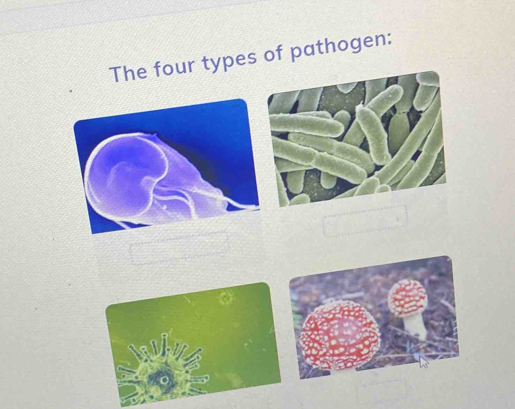 The four types of pathogen: