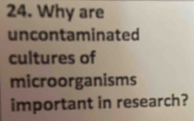 Why are 
uncontaminated 
cultures of 
microorganisms 
important in research?