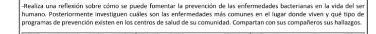 Realiza una reflexión sobre cómo se puede fomentar la prevención de las enfermedades bacterianas en la vida del ser 
humano. Posteriormente investiguen cuáles son las enfermedades más comunes en el lugar donde viven y qué tipo de 
programas de prevención existen en los centros de salud de su comunidad. Compartan con sus compañeros sus hallazgos.