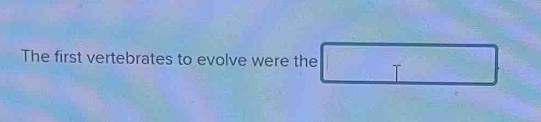 The first vertebrates to evolve were the □