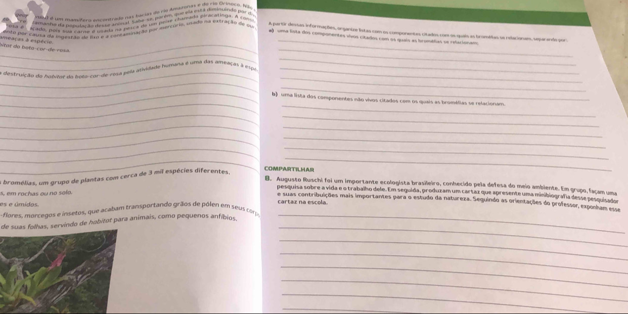 vaM) é um mamífero encontrado nas bácias do rio Amazonas e do rio Orinoco. Não
Camanho da população desse animal. Sabe-se, porém, que ela está diminuindo por di
'Osa é
açado, poís sua carne é usada na pesca de um peixe chamado piracatinga. A consi
ento por causa da ingestão de lixo e a contaminação por mercório, usado na extração de oue
_
_
A partir dessas informações, organize listas com os componentes citados com os quais as bromélias se relacionam, separando por:
uma lista dos componentes vivos citados com os quais as bromélias se relacionam:
ameaças à espécie.
_
e i a   o  b o to-cor- de- rosa .
_
_
_
_
_
a destruição do hobitat do boto-cor-de-rosa pela atividade humana é uma das ameaças à espé_
_
_
_
_b) uma lista dos componentes não vivos citados com os quais as bromélias se relacionam.
_
_
_
_
__
_
_
_
_
COMPARTILHAR
es bromélias, um grupo de plantas com cerca de 3 mil espécies diferentes.
8. Augusto Ruschi foi um importante ecologista brasileiro, conhecido pela defesa do meio ambiente. Em grupo, façam uma
s, em rochas ou no solo.
pesquisa sobre a vida e o trabalho dele. Em seguida, produzam um cartaz que apresente uma minibiografia desse pesquisador
e suas contribuições mais importantes para o estudo da natureza. Seguindo as orientações do professor, exponham esse
es e úmidos.
cartaz na escola.
flores, morcegos e i setos, que acabam transportando grãos de pólen em se s corpe
_
de suas folhas, servindo de høbitøt para animais, como pequenos anfíbios.
_
_
_
_
_
_
_