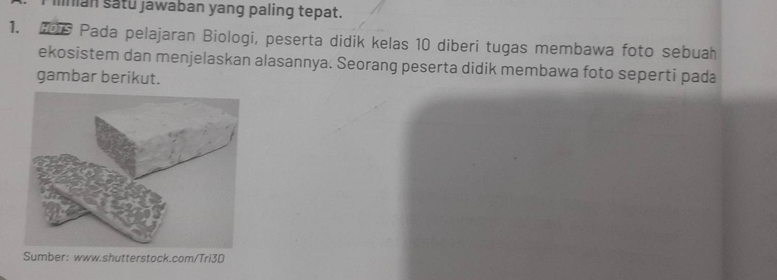 nian satu jawaban yang paling tepat. 
1. 06 Pada pelajaran Biologi, peserta didik kelas 10 diberi tugas membawa foto sebuah 
ekosistem dan menjelaskan alasannya. Seorang peserta didik membawa foto seperti pada 
gambar berikut. 
Sumber: www.shutterstock.com/Tri3D