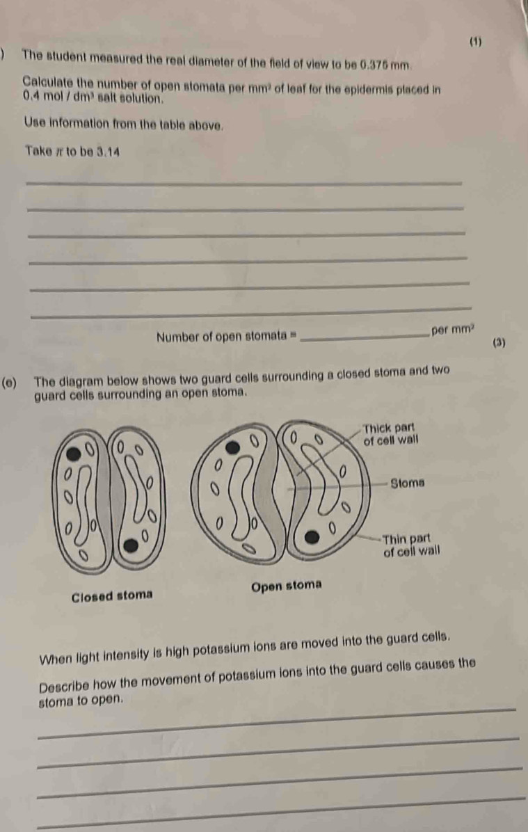 (1) 
) The student measured the real diameter of the field of view to be 0.375 mm. 
Calculate the number of open stomata per mm^2 of leaf for the epidermis placed in
0.4 mol dm^3 salt solution. 
Use information from the table above. 
Take π to be 3.14
_ 
_ 
_ 
_ 
_ 
_ 
Number of open stomata = _per mm^2
(3) 
(e) The diagram below shows two guard cells surrounding a closed stoma and two 
guard cells surrounding an open stoma. 
Closed stoma 
When light intensity is high potassium ions are moved into the guard cells. 
Describe how the movement of potassium ions into the guard cells causes the 
_ 
stoma to open. 
_ 
_ 
_