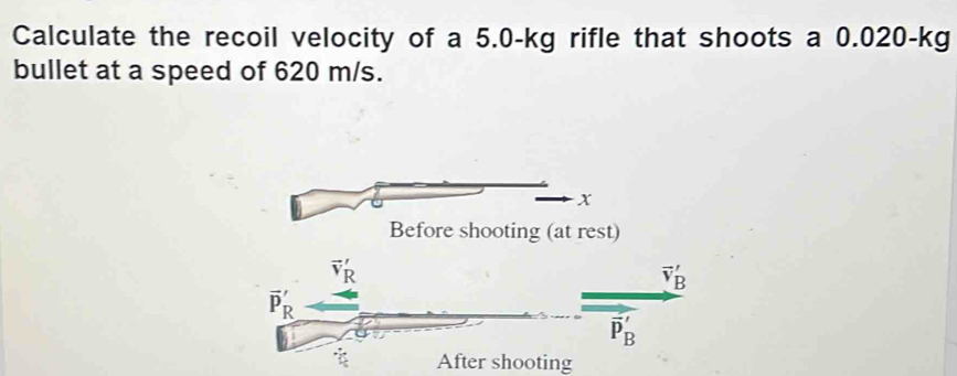 Solved: Calculate the recoil velocity of a 5.0-kg rifle that shoots a 0 ...