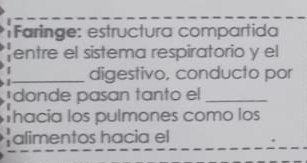 Faringe: estructura compartida 
entre el sistema respiratorio y el 
_digestivo, conducto por 
donde pasan tanto el_ 
Thacía los pulmones como los 
alimentos hacia el