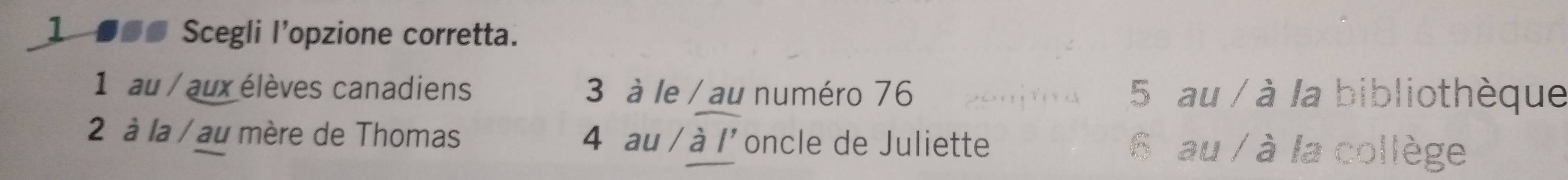 1 ■■● Scegli l’opzione corretta.
1 au / aux élèves canadiens 3 à le / au numéro 76 5 au / à la bibliothèque
2 à la / au mère de Thomas 4 au / à l'oncle de Juliette 6 au / à la collège