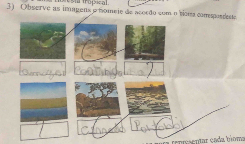 oresta trópical. 
3) Observe as imagens e nomeie de acordo com o bioma correspondente. 
representar cada bioma