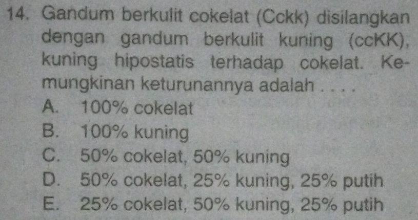 Gandum berkulit cokelat (Cckk) disilangkan
dengan gandum berkulit kuning (ccKK),
kuning hipostatis terhadap cokelat. Ke-
mungkinan keturunannya adalah . . . .
A. 100% cokelat
B. 100% kuning
C. 50% cokelat, 50% kuning
D. 50% cokelat, 25% kuning, 25% putih
E. 25% cokelat, 50% kuning, 25% putih