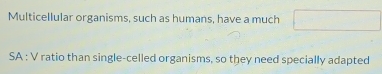 Multicellular organisms, such as humans, have a much 
SA : V ratio than single-celled organisms, so they need specially adapted