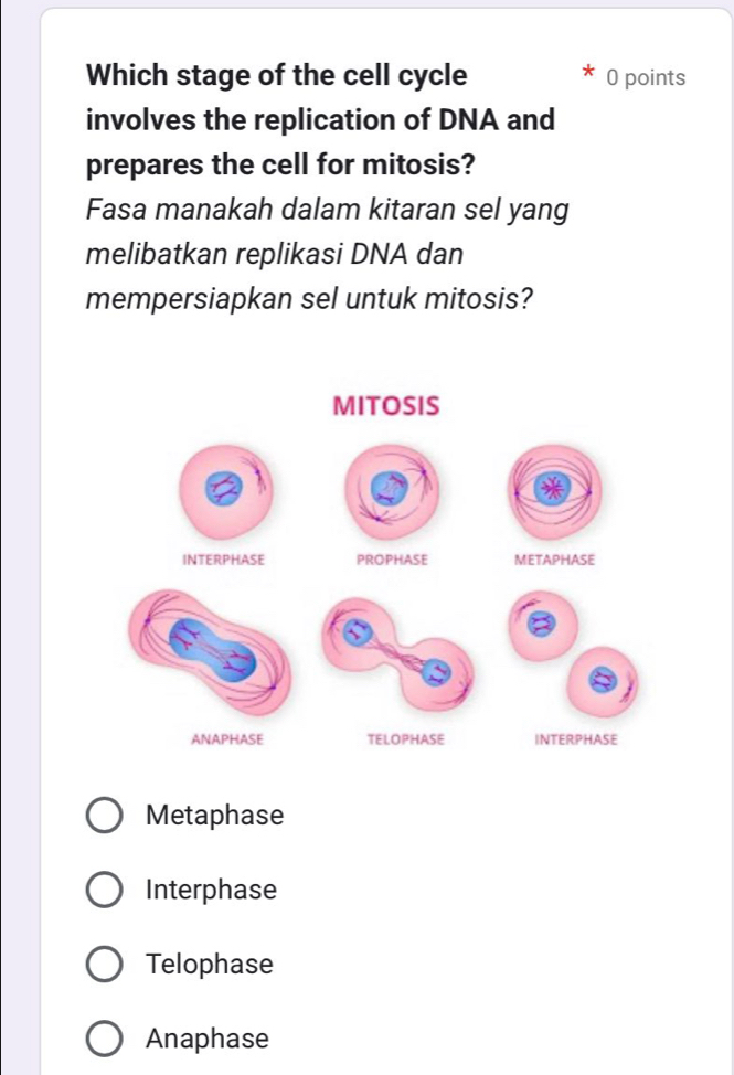 Which stage of the cell cycle 0 points
involves the replication of DNA and
prepares the cell for mitosis?
Fasa manakah dalam kitaran sel yang
melibatkan replikasi DNA dan
mempersiapkan sel untuk mitosis?
Metaphase
Interphase
Telophase
Anaphase