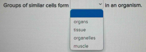 Groups of similar cells form in an organism.
organs
tissue
organelles
muscle