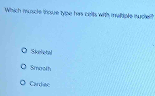 Which muscle tissue type has cells with multiple nuclei?
Skeletal
Smooth
Cardiac