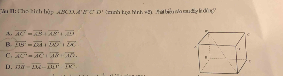 Cho hình hộp ABCD. A'B'C'D' (minh họa hình vẽ). Phát biểu nào sau đây là đúng?
A. vector AC'=vector AB+vector AB'+vector AD.
B. vector DB'=vector DA+vector DD'+vector DC.
C. vector AC'=vector AC+vector AB+vector AD.
D. overline DB=overline DA+overline DD'+overline DC.