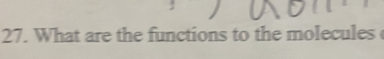 What are the functions to the molecules