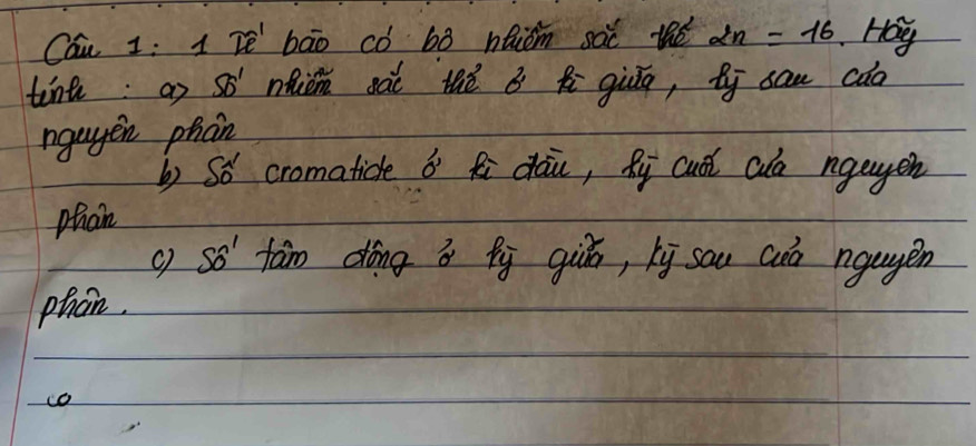 Cau 1: 1 Tè bāo có bǎ nhiom sàc té 2n=16 Hay 
tine:a) só much gài thè b f giug, bj sau cdo 
ngugen phan 
b) S6 cromaticle b Ri dāu, Ru cudi cuo ngayen 
Phan 
c so fàn dóng á bi qiùú, xì sau auó ngagén 
phon. 
co