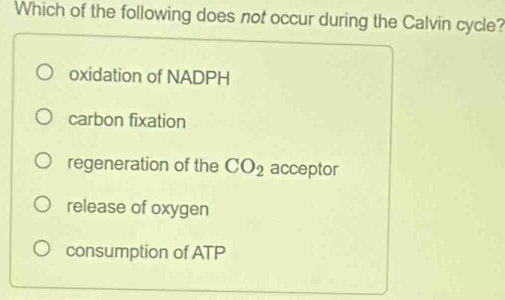 Which of the following does not occur during the Calvin cycle?
oxidation of NADPH
carbon fixation
regeneration of the CO_2 acceptor
release of oxygen
consumption of ATP