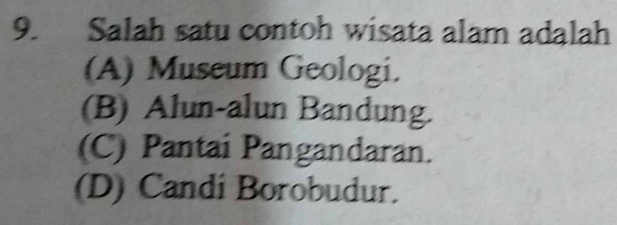 Salah satu contoh wisata alam adalah
(A) Museum Geologi.
(B) Alun-alun Bandung.
(C) Pantai Pangandaran.
(D) Candi Borobudur.